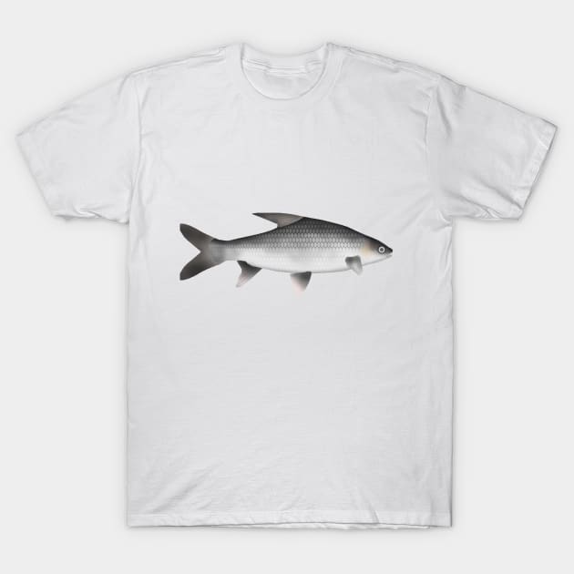 Soldier River Barb T-Shirt by FishFolkArt